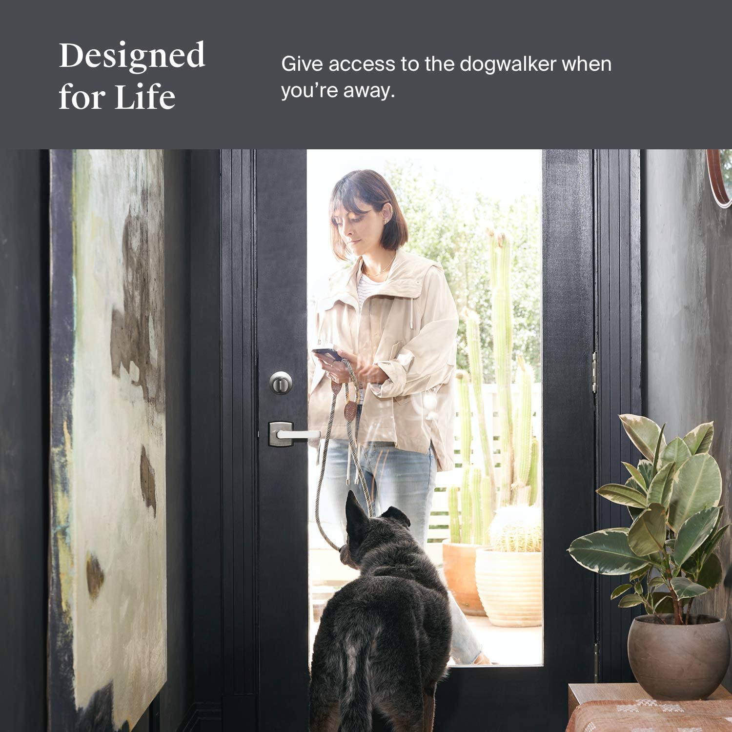 71dvVv2Gv3L._AC_SL1500_ 71dvVv2Gv3L._AC_SL1500_