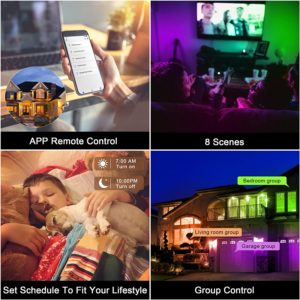 81dDMFEuw8S._AC_SL1500_ 81dDMFEuw8S._AC_SL1500_